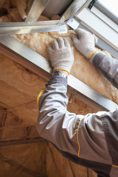 Best Residential Insulation in Nicholasville, KY